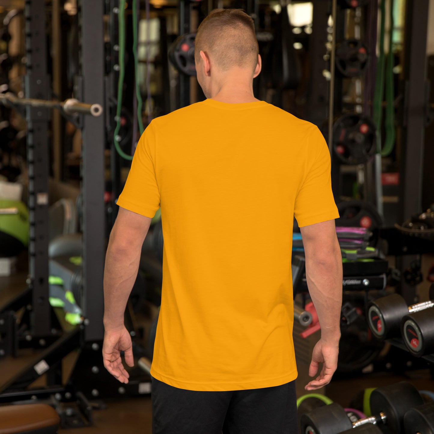 DRAFTBURGH™ Franco Harris Tribute Shirt — Home of the Immaculate Reception